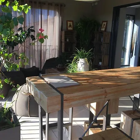 Villa Climatisee Piscine Billard Ping-pong Saint-Maximin (Gard)